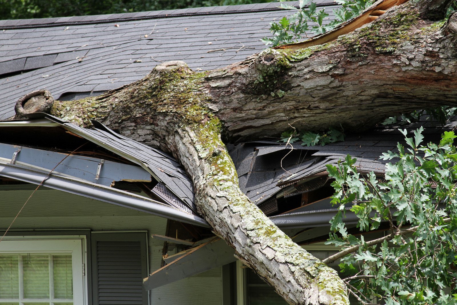 roofing contractor